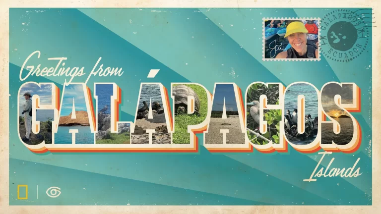 Greeting from Galapagos post card