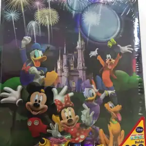 Mickey Castle Photo Album