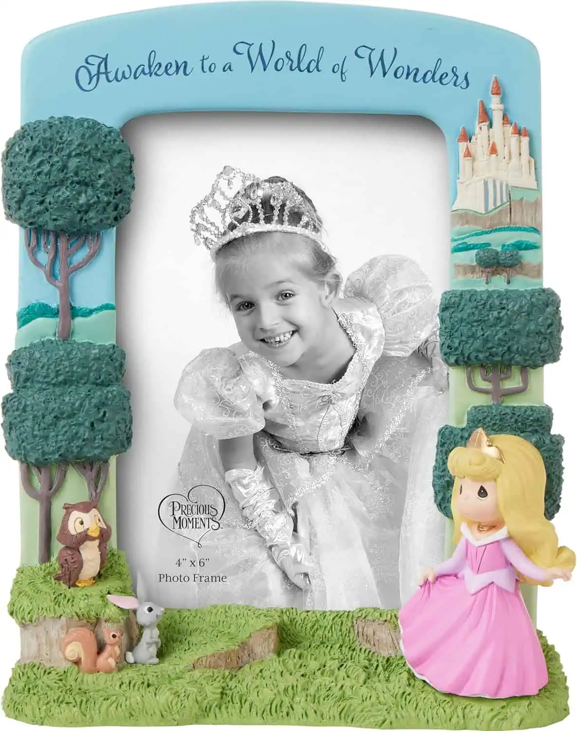 Aurora Picture Frame