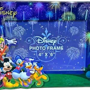 Disney Fireworks Picture Frame